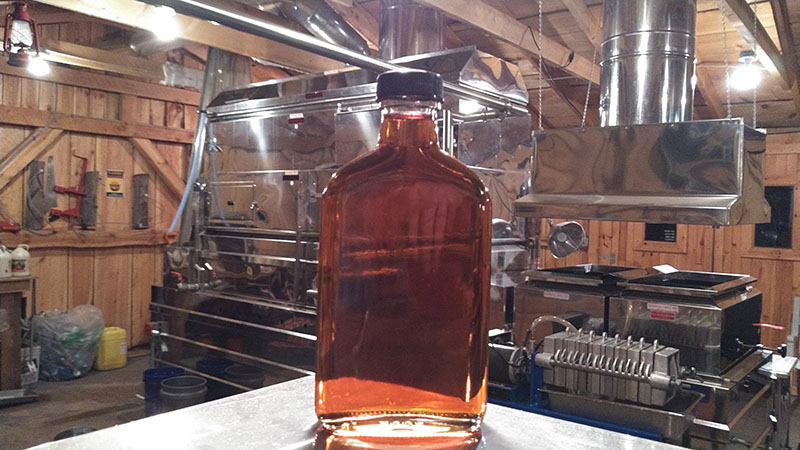 freshly made maple syrup